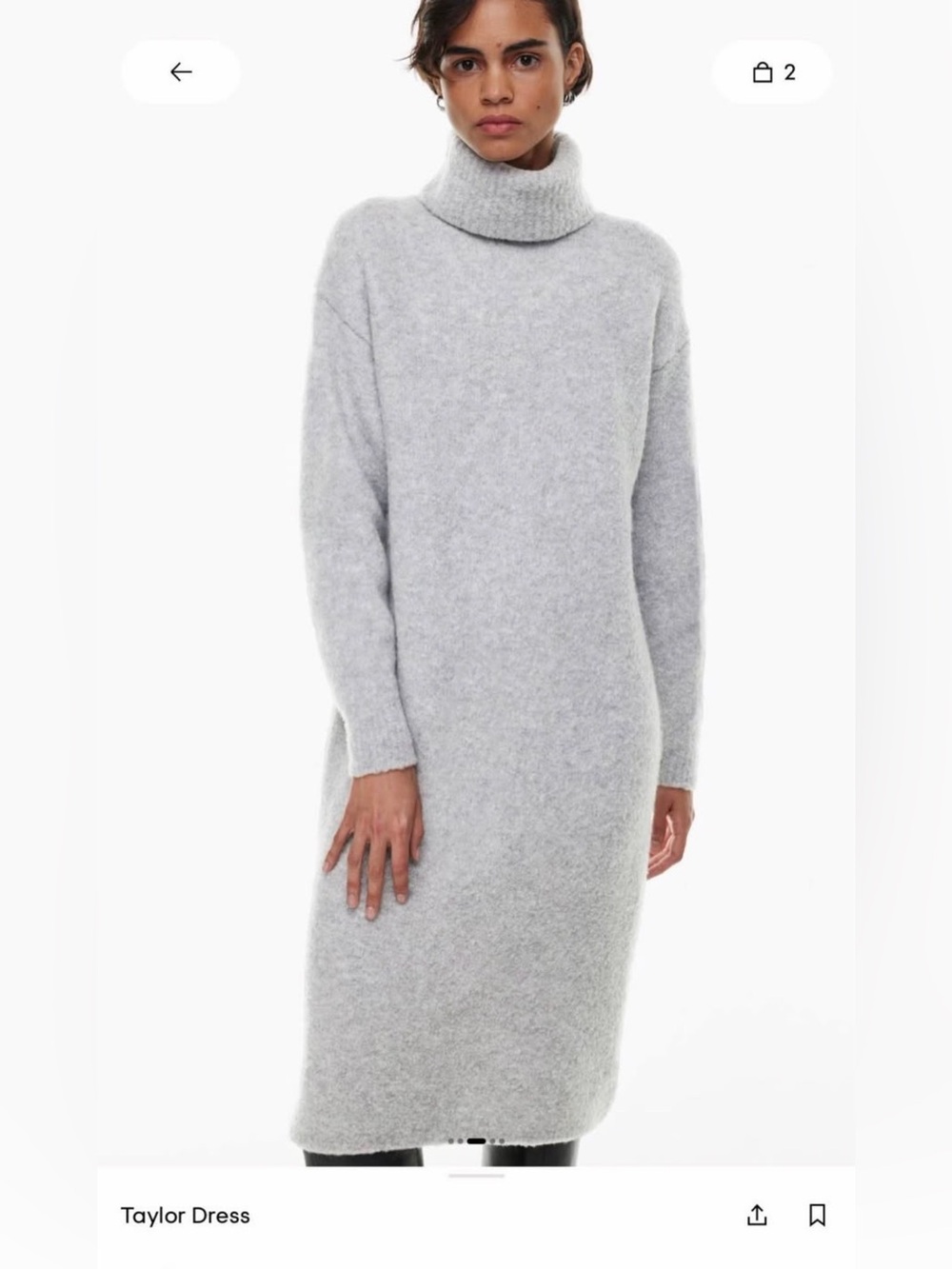 Aritzia Taylor Turtleneck Sweater Dress